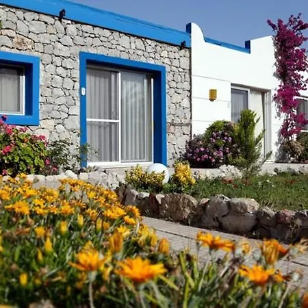 Solto