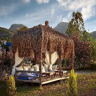 Solto