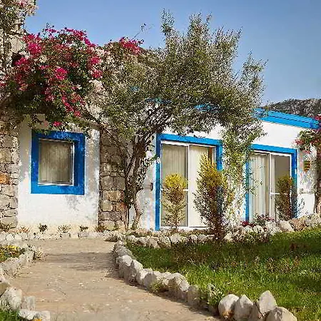 Fi Light Solto Boutique