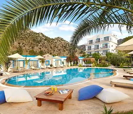 Fi Light Solto Boutique