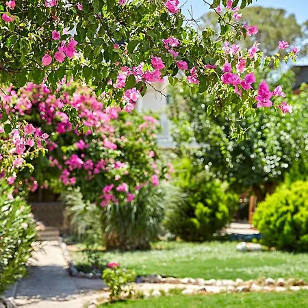 Fi Light Solto Boutique السليمية