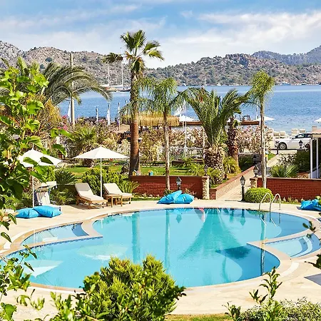 Hotel Fi Light Solto Boutique 3*