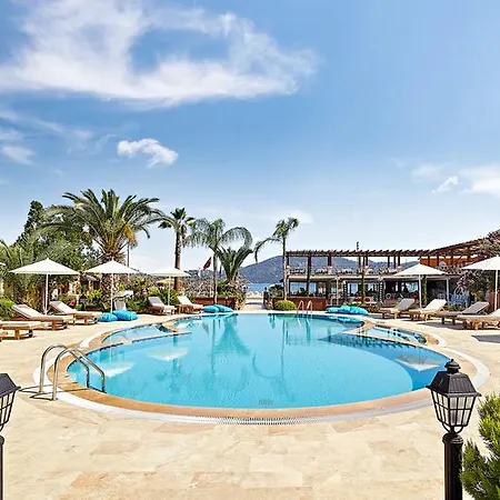 Fi Light Solto Boutique 3*