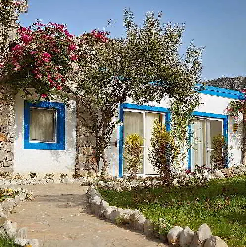 Fi Light Solto Boutique