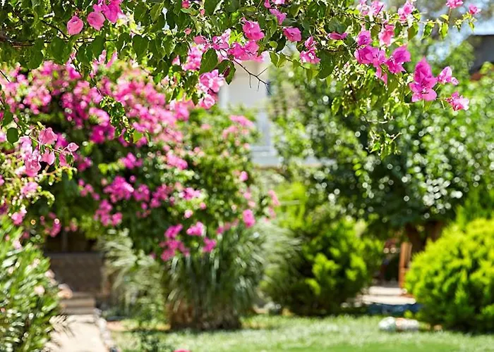 Fi Light Solto Boutique السليمية