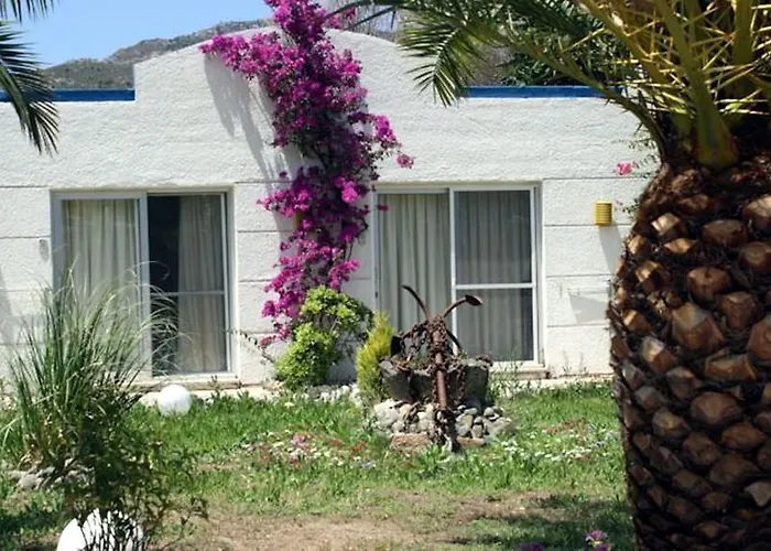 Fi Light Solto Boutique السليمية