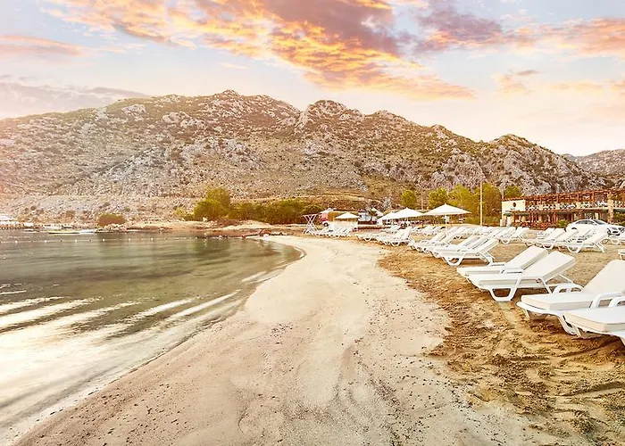 Fi Light Solto Boutique فندق السليمية