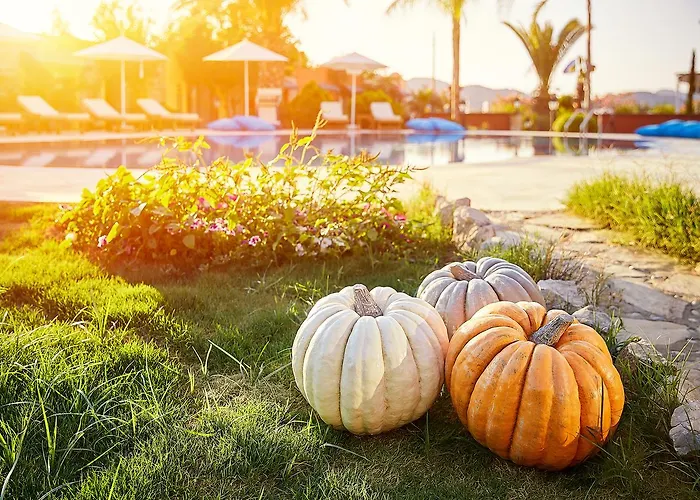 Fi Light Solto Boutique فندق السليمية