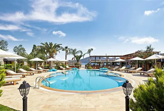 فندق Fi Light Solto Boutique السليمية